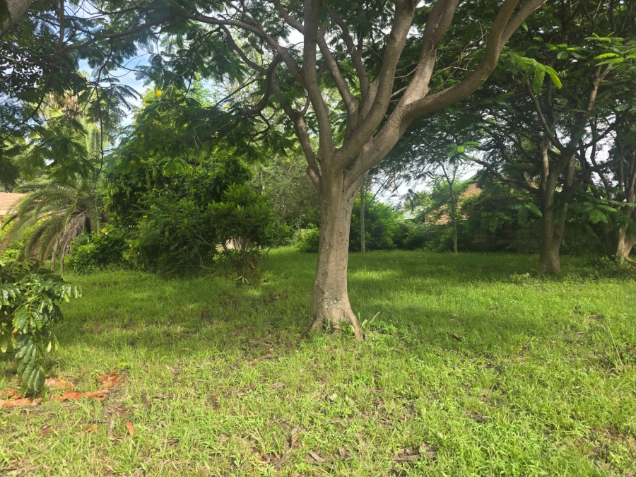 0 Bedroom Property for Sale in Bela Bela Limpopo