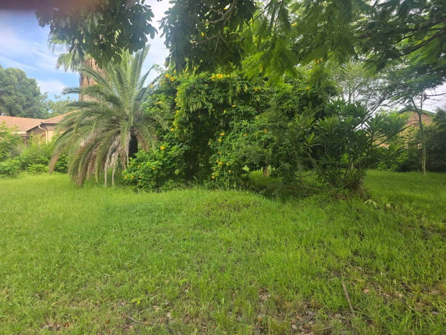 0 Bedroom Property for Sale in Bela Bela Limpopo