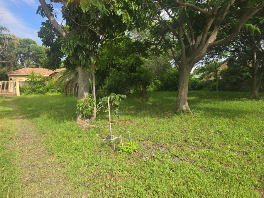 0 Bedroom Property for Sale in Bela Bela Limpopo