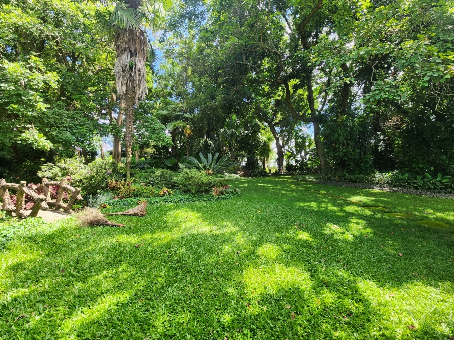 4 Bedroom Property for Sale in Tzaneen Rural Limpopo