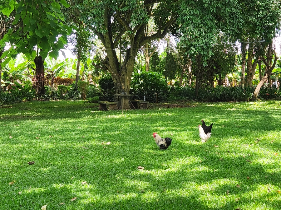 4 Bedroom Property for Sale in Tzaneen Rural Limpopo