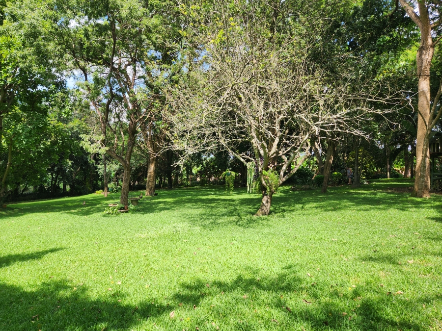 4 Bedroom Property for Sale in Tzaneen Rural Limpopo