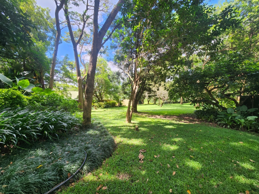 4 Bedroom Property for Sale in Tzaneen Rural Limpopo