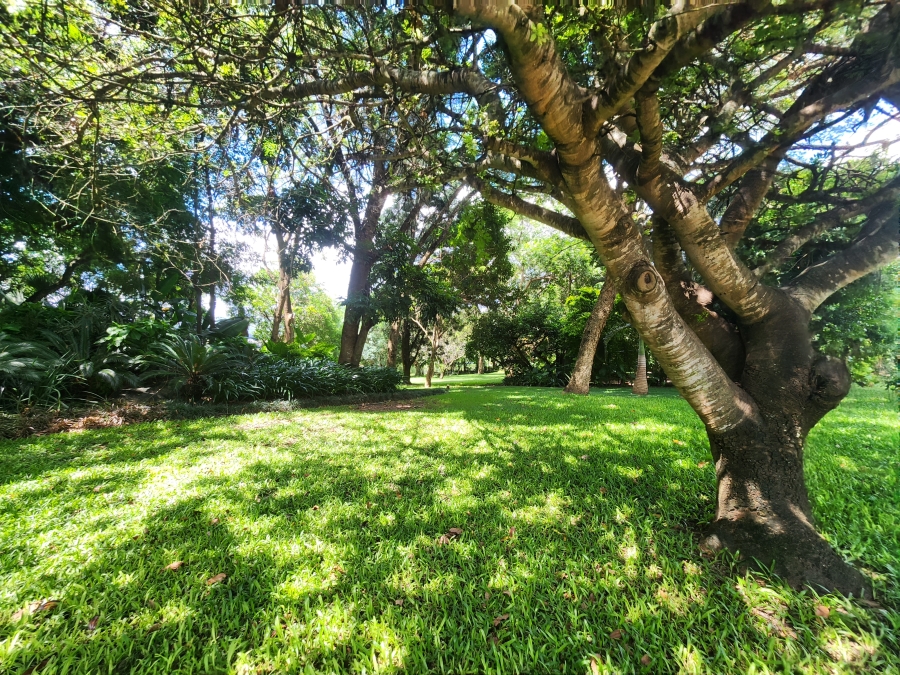 4 Bedroom Property for Sale in Tzaneen Rural Limpopo