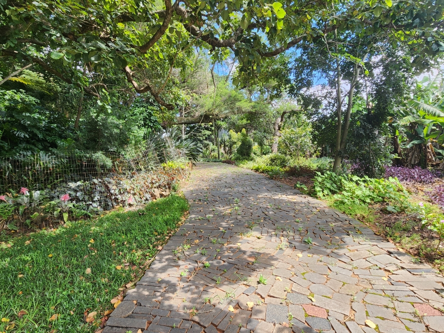 4 Bedroom Property for Sale in Tzaneen Rural Limpopo