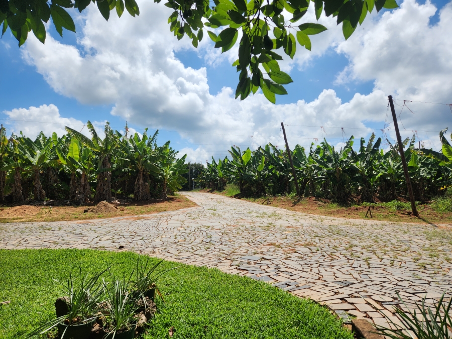 4 Bedroom Property for Sale in Tzaneen Rural Limpopo