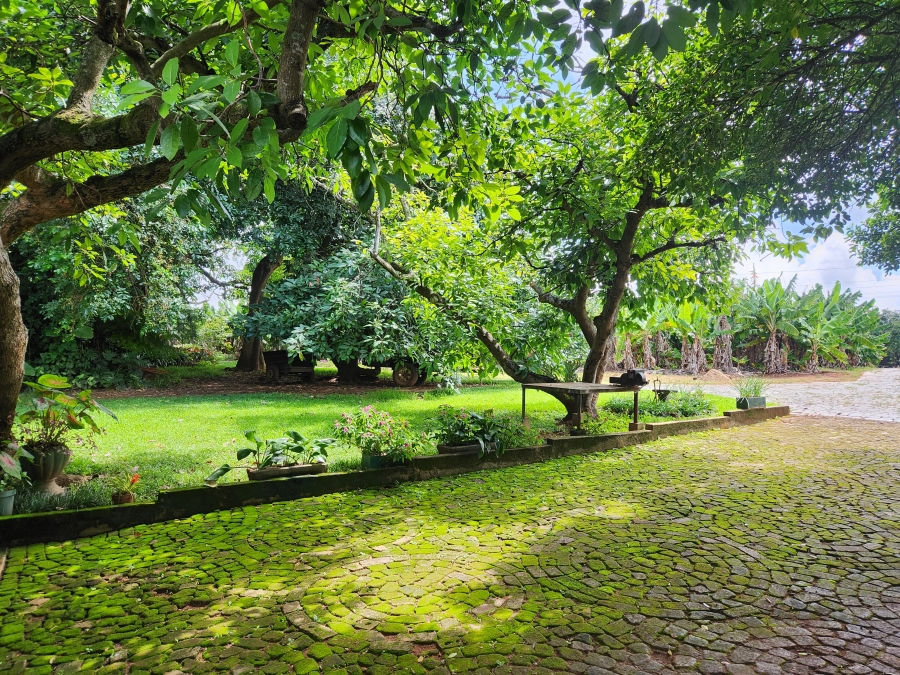 4 Bedroom Property for Sale in Tzaneen Rural Limpopo