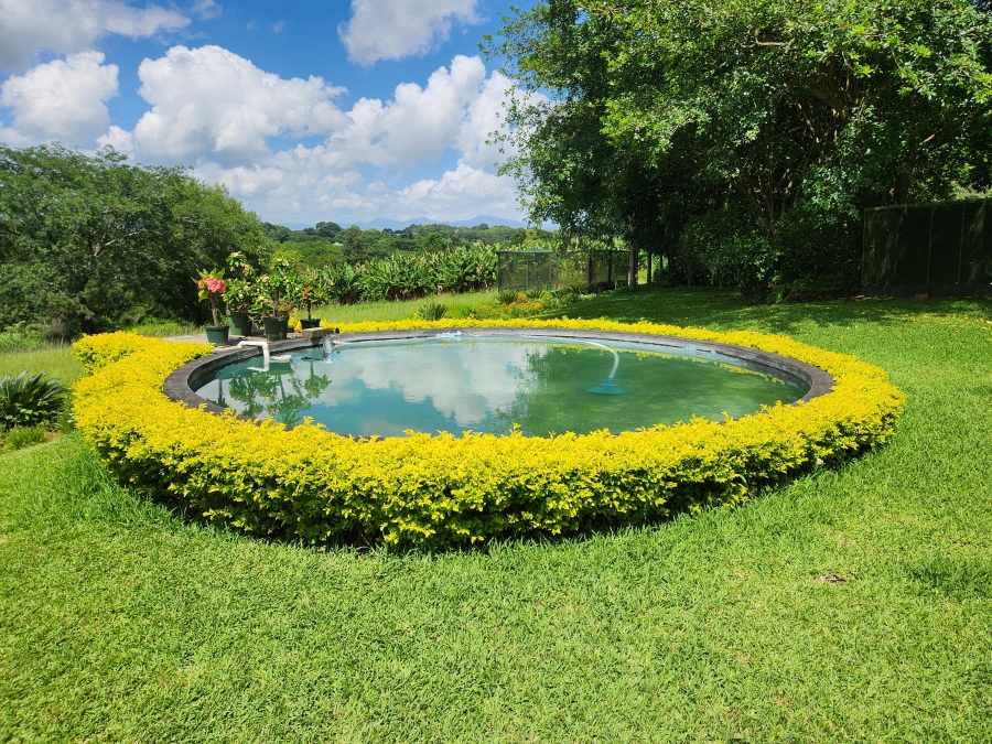 4 Bedroom Property for Sale in Tzaneen Rural Limpopo