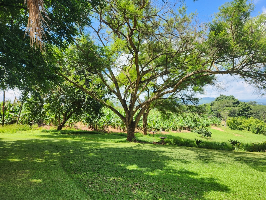 4 Bedroom Property for Sale in Tzaneen Rural Limpopo