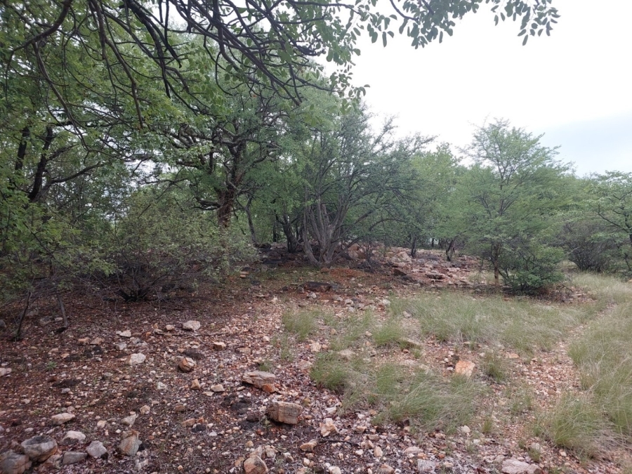 0 Bedroom Property for Sale in Musina Limpopo