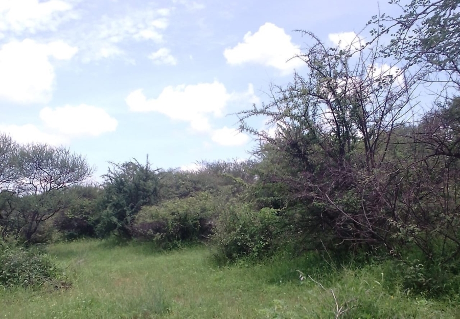 0 Bedroom Property for Sale in Musina Limpopo