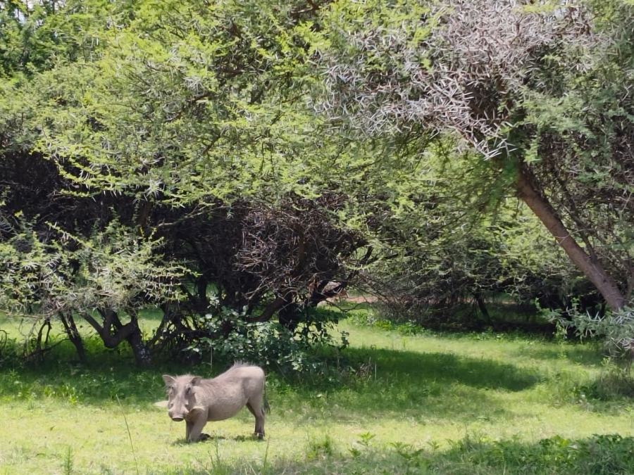 0 Bedroom Property for Sale in Intaba Indle Wilderness Estate Limpopo