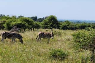 0 Bedroom Property for Sale in Intaba Indle Wilderness Estate Limpopo