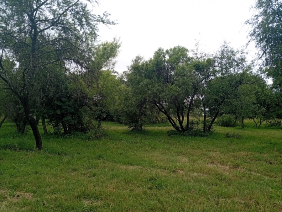 0 Bedroom Property for Sale in Bela Bela Limpopo