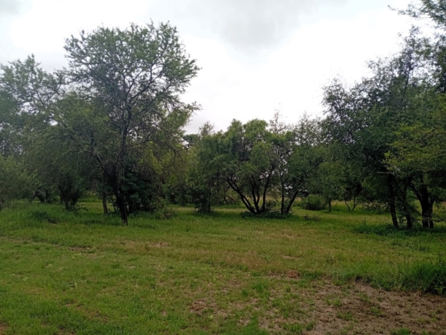 0 Bedroom Property for Sale in Bela Bela Limpopo