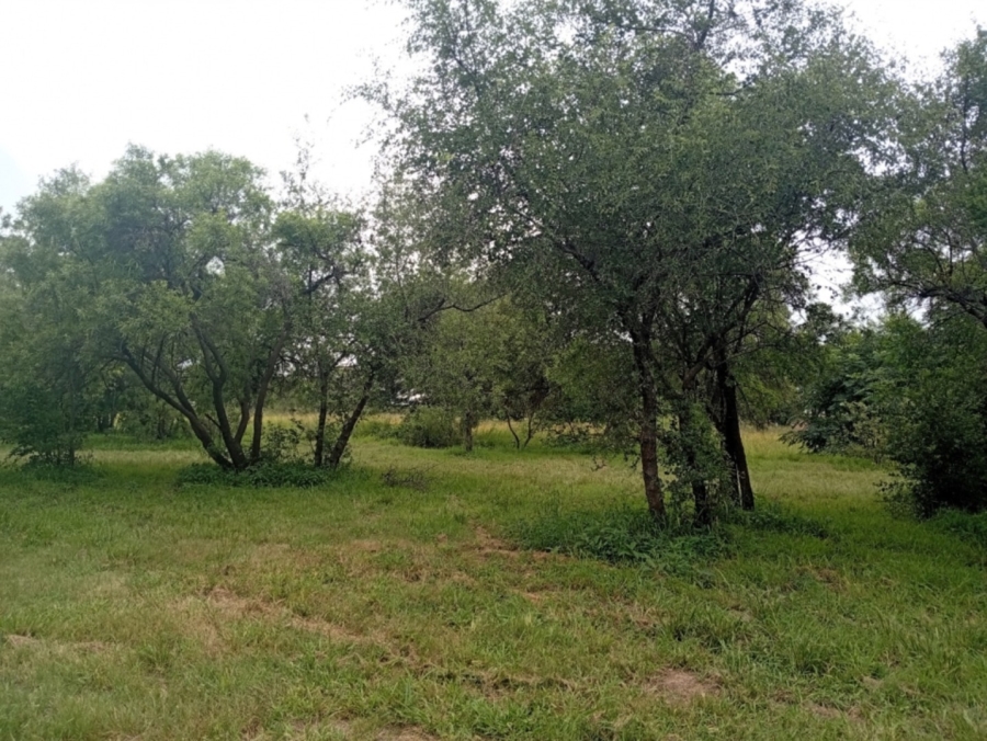 0 Bedroom Property for Sale in Bela Bela Limpopo