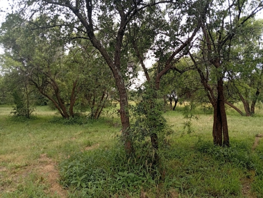 0 Bedroom Property for Sale in Bela Bela Limpopo