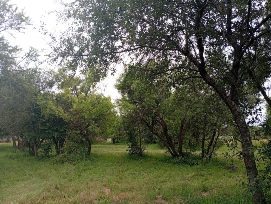 0 Bedroom Property for Sale in Bela Bela Limpopo