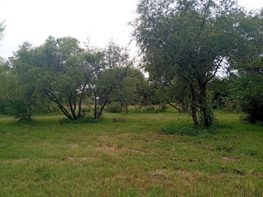 0 Bedroom Property for Sale in Bela Bela Limpopo