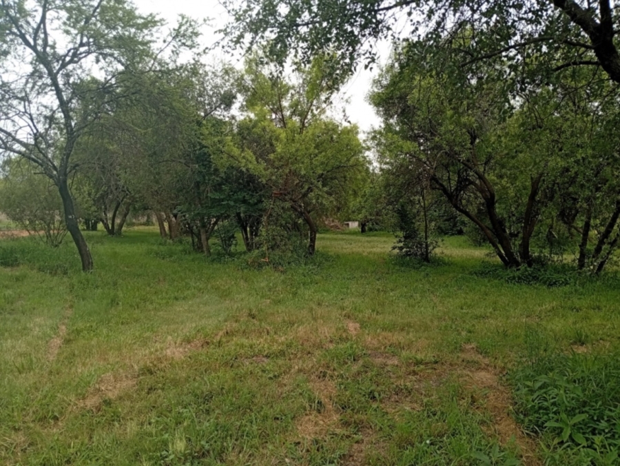 0 Bedroom Property for Sale in Bela Bela Limpopo