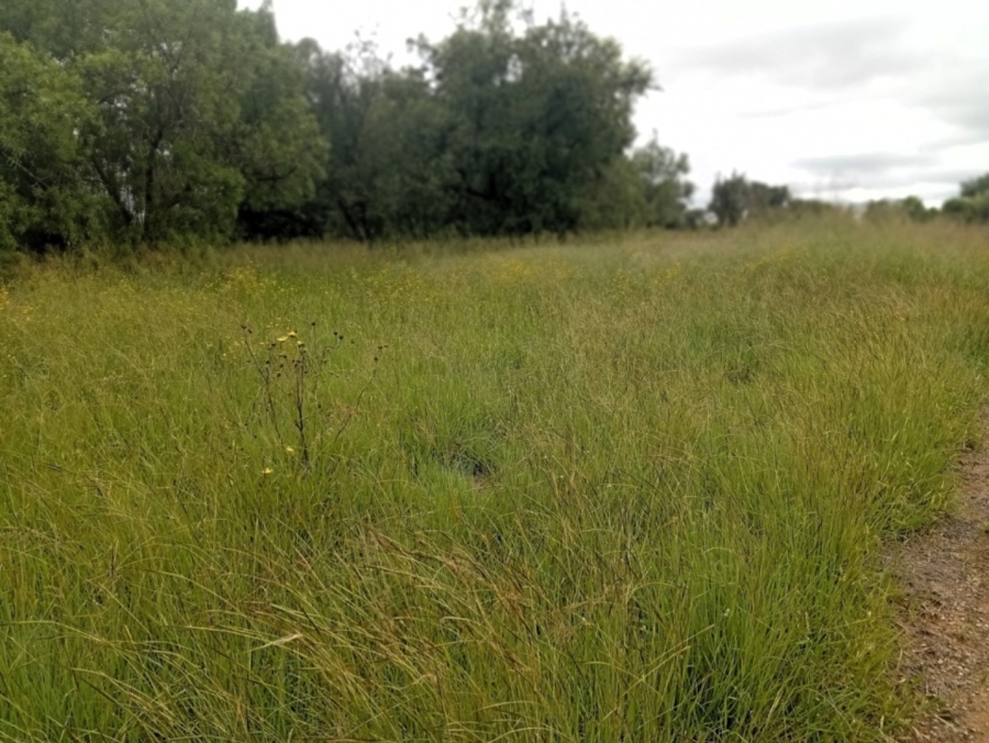 0 Bedroom Property for Sale in Bela Bela Limpopo