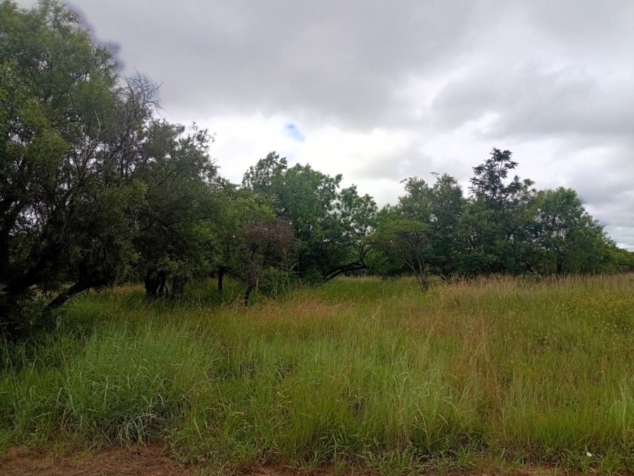 0 Bedroom Property for Sale in Bela Bela Limpopo