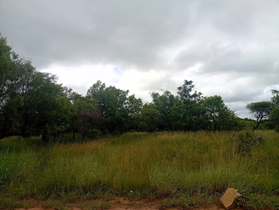 0 Bedroom Property for Sale in Bela Bela Limpopo