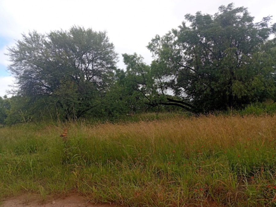 0 Bedroom Property for Sale in Bela Bela Limpopo