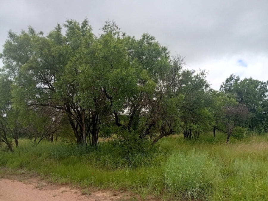 0 Bedroom Property for Sale in Bela Bela Limpopo