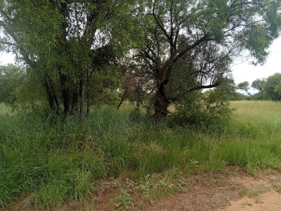 0 Bedroom Property for Sale in Bela Bela Limpopo