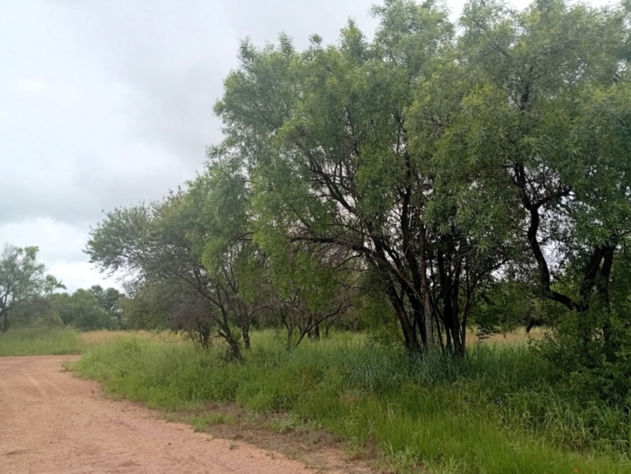 0 Bedroom Property for Sale in Bela Bela Limpopo