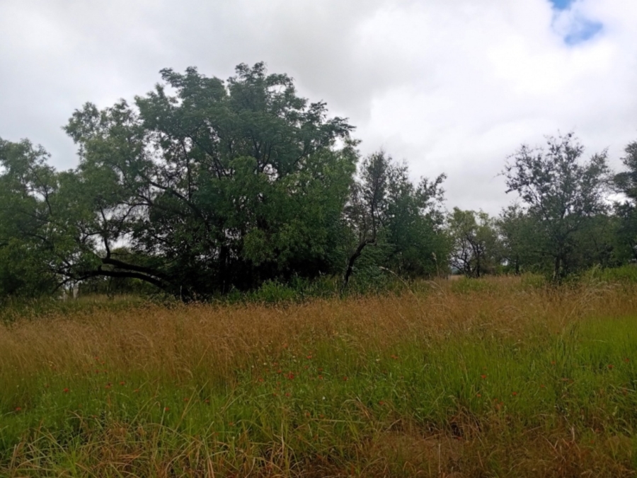 0 Bedroom Property for Sale in Bela Bela Limpopo