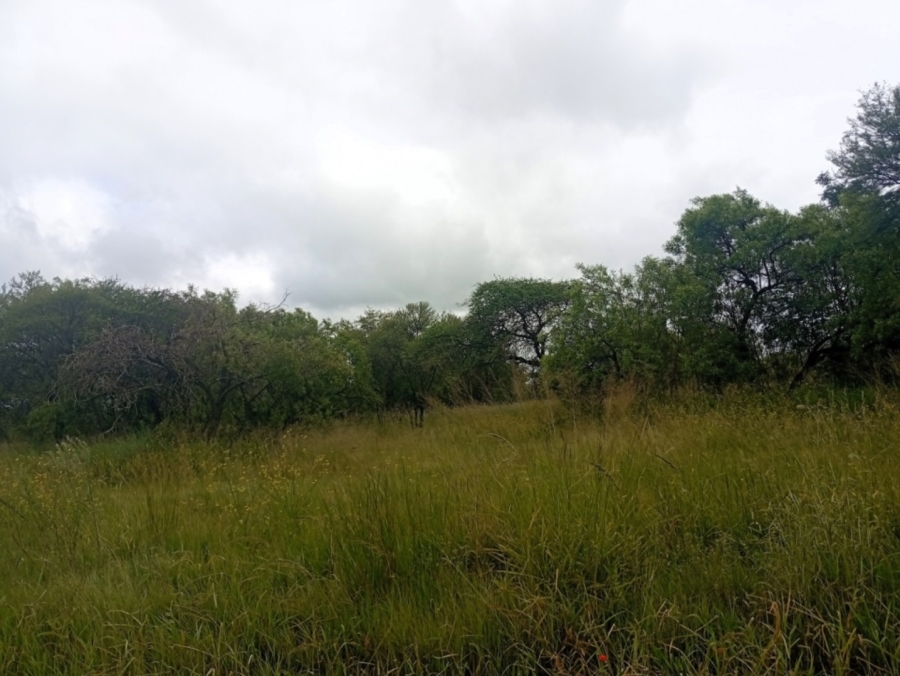 0 Bedroom Property for Sale in Bela Bela Limpopo