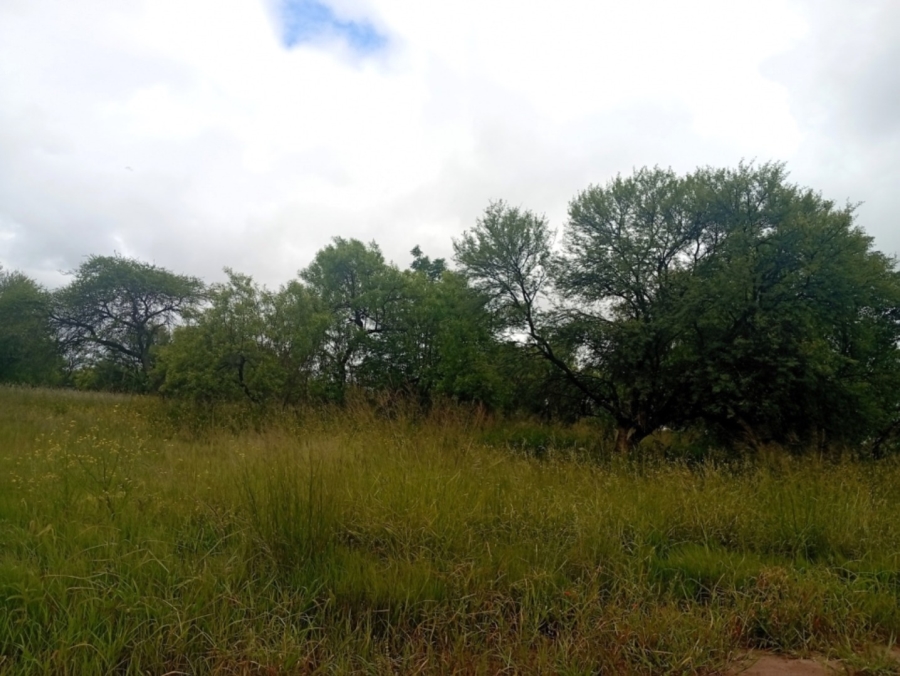 0 Bedroom Property for Sale in Bela Bela Limpopo