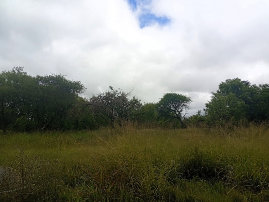 0 Bedroom Property for Sale in Bela Bela Limpopo