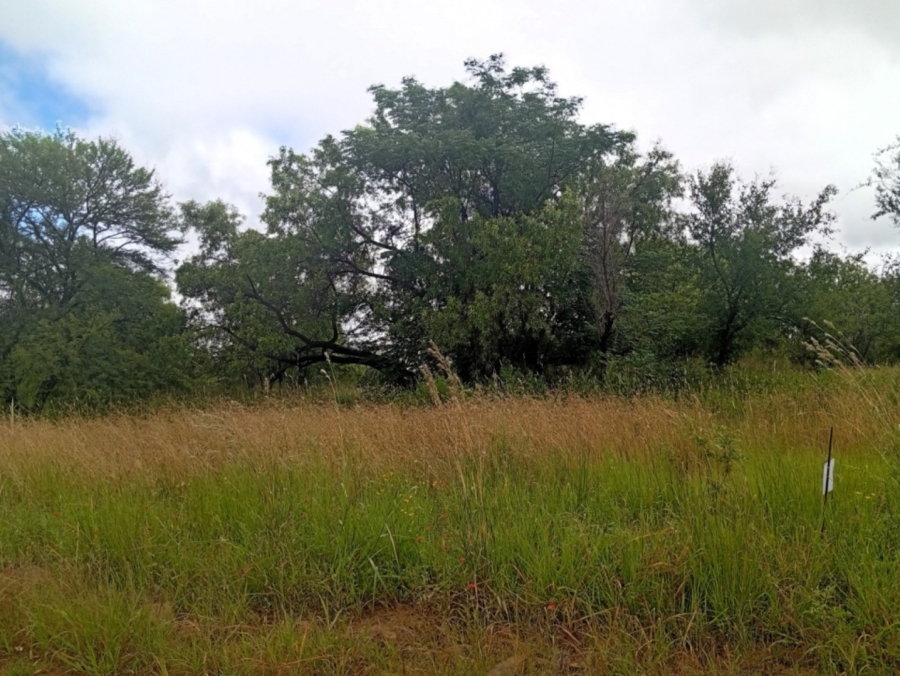 0 Bedroom Property for Sale in Bela Bela Limpopo