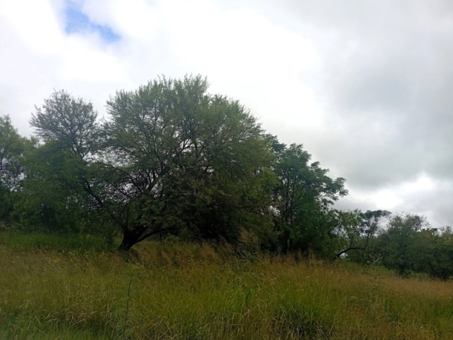 0 Bedroom Property for Sale in Bela Bela Limpopo