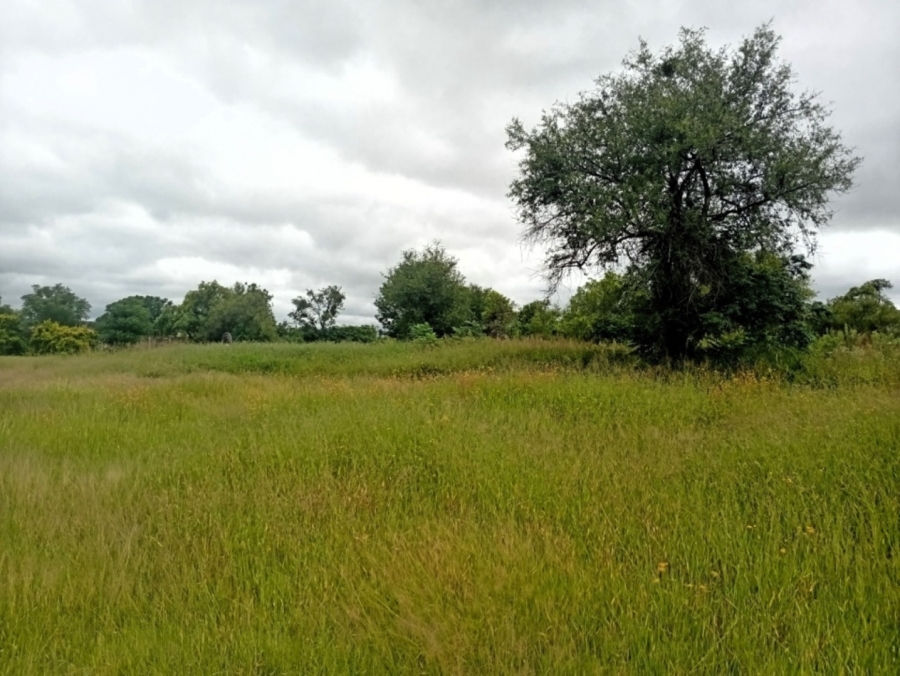 0 Bedroom Property for Sale in Bela Bela Limpopo