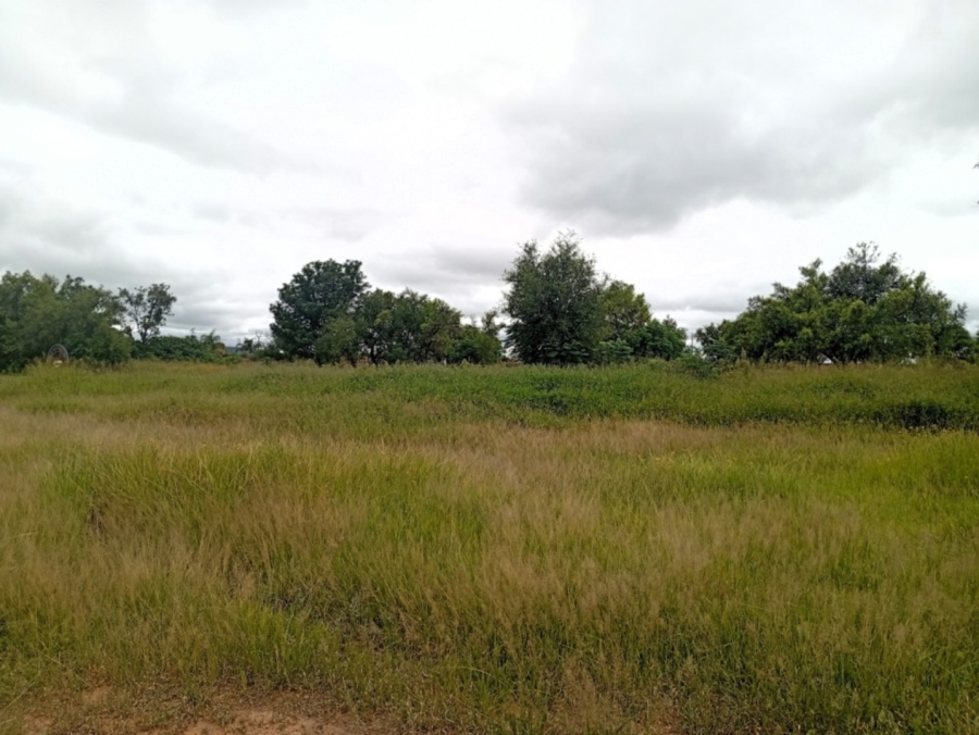 0 Bedroom Property for Sale in Bela Bela Limpopo