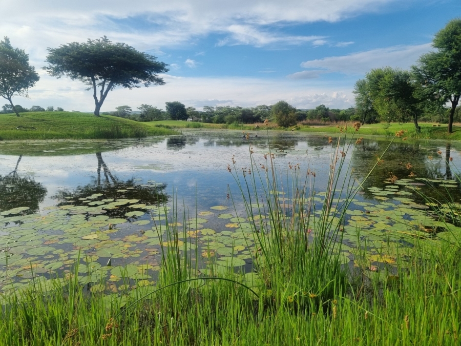 0 Bedroom Property for Sale in Koro Creek Golf Estate Limpopo