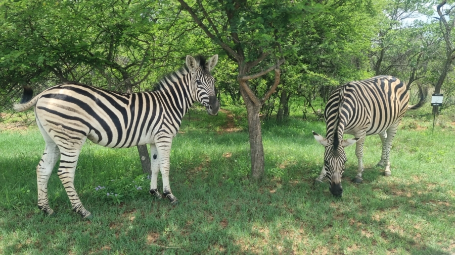 0 Bedroom Property for Sale in Koro Creek Golf Estate Limpopo