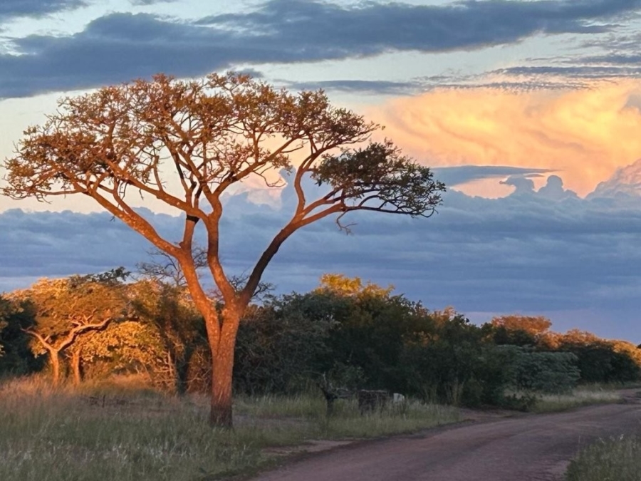 0 Bedroom Property for Sale in Verloren Estate Limpopo