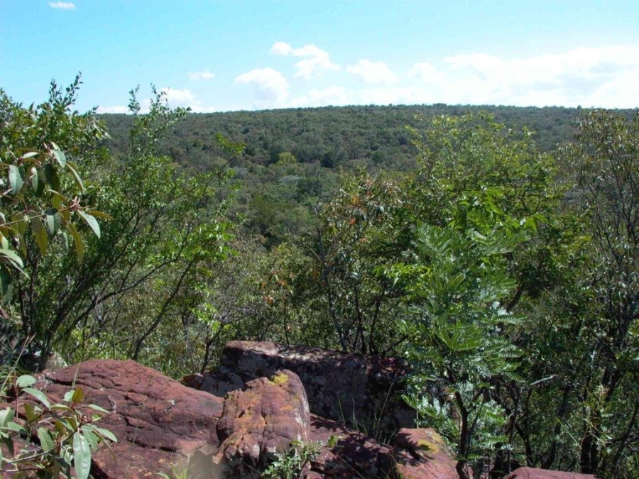 0 Bedroom Property for Sale in Verloren Estate Limpopo