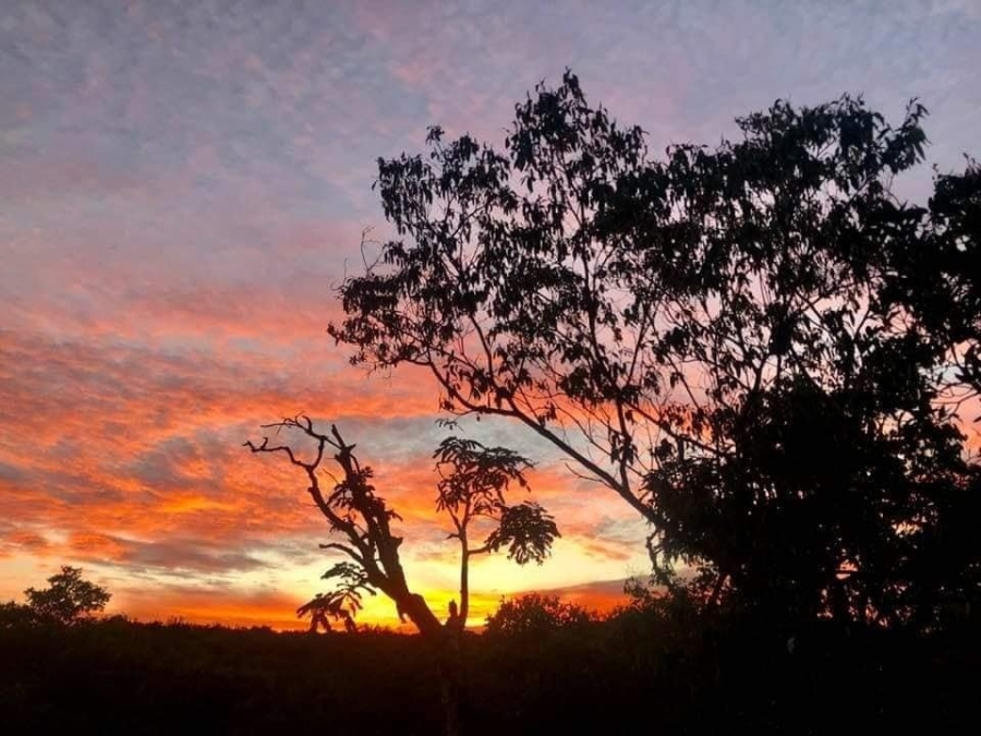 0 Bedroom Property for Sale in Verloren Estate Limpopo