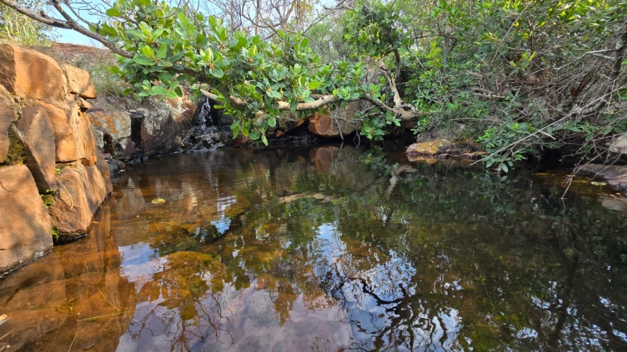 0 Bedroom Property for Sale in Verloren Estate Limpopo