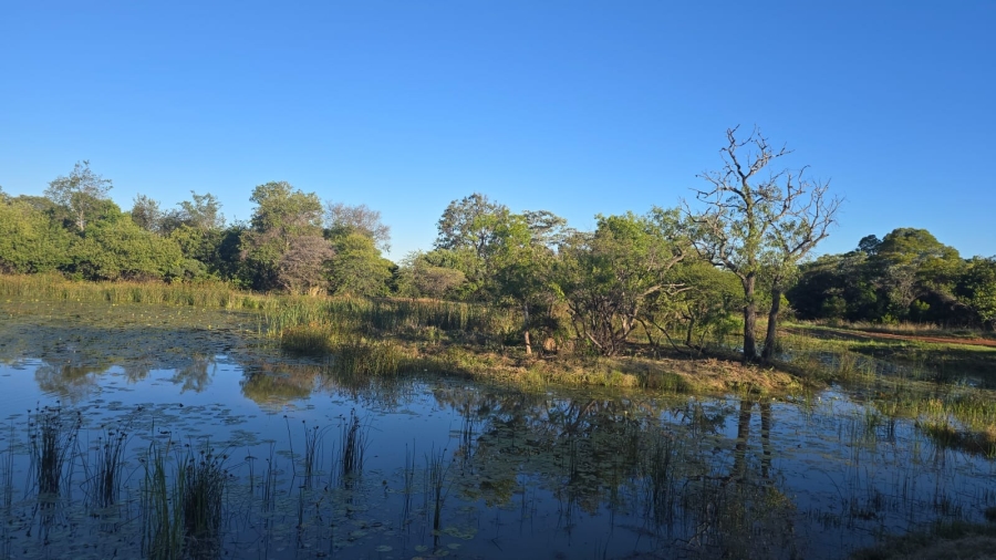 0 Bedroom Property for Sale in Verloren Estate Limpopo