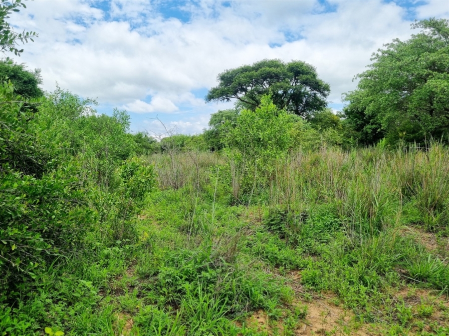 0 Bedroom Property for Sale in Moditlo Wildlife Estate Limpopo
