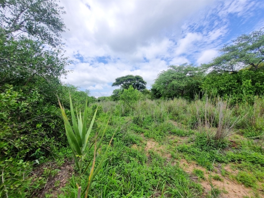 0 Bedroom Property for Sale in Moditlo Wildlife Estate Limpopo