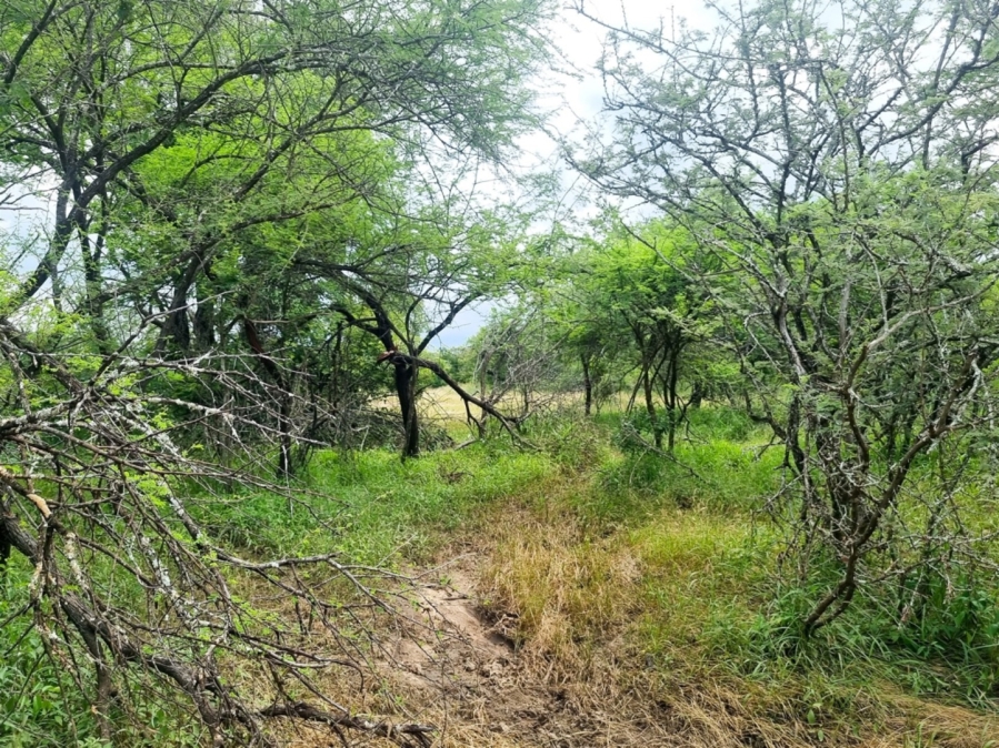 0 Bedroom Property for Sale in Moditlo Wildlife Estate Limpopo