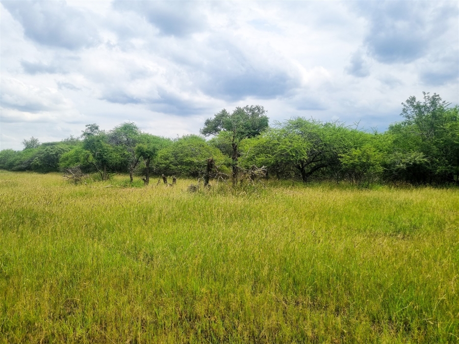 0 Bedroom Property for Sale in Moditlo Wildlife Estate Limpopo
